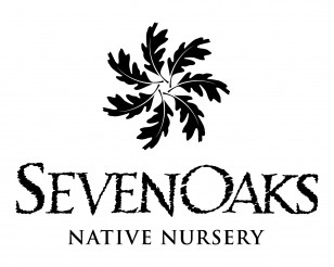 Sevenoaks-Logo-308x246