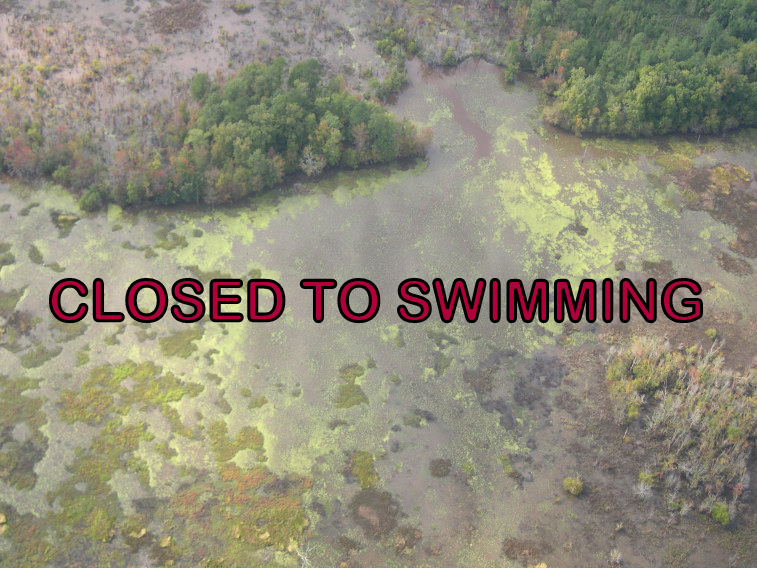 Closed Falls Lake.jpg