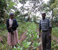 farm in Kenya