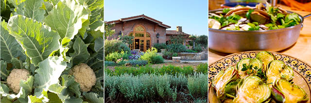 RANCHO LA PUERTA