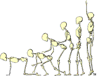 skeletons-tint-200px