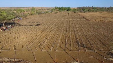 September2016-Antanamarina nursery 2