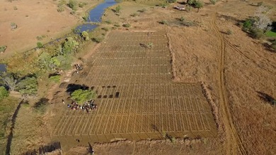 September2016-Antanamarina nursery higher view 2