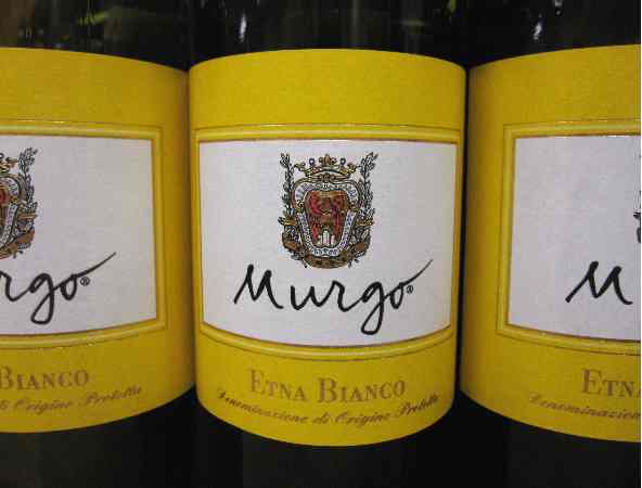 murgo murgo