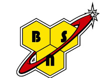 bsn_logo