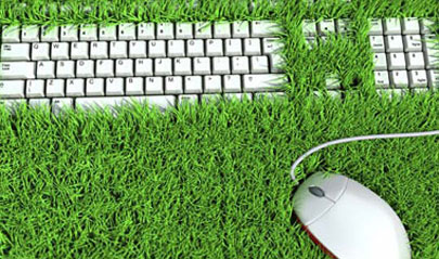 grass