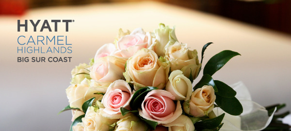 Hyatt-Weddings-Header Hyatt-Weddings-Header