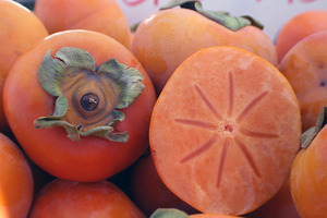 sm persimmons