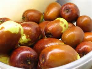 jujube fruit