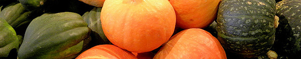 winter squash header winter squash header