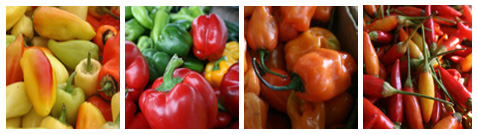 pepper banner pepper banner