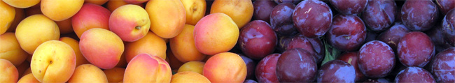 plums apricots