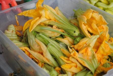 squash-blossoms