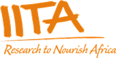 IITA Logo