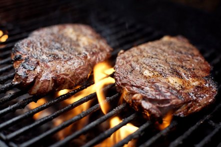 grilling_steak-732284 2