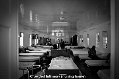 _MG_3263_copy 3 _MG_3263_copy 3