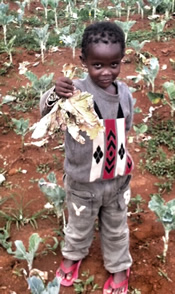 a child holding produce