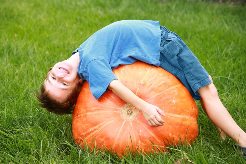 ChildPumpkinExpo2010.jpg