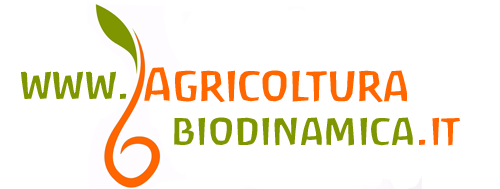 agricolturabiodinamica.it