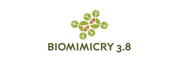 Biomimicry 3.8 Banner