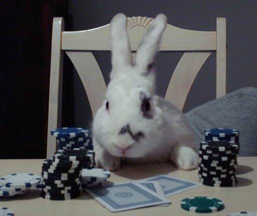 Rabbit Poker 2