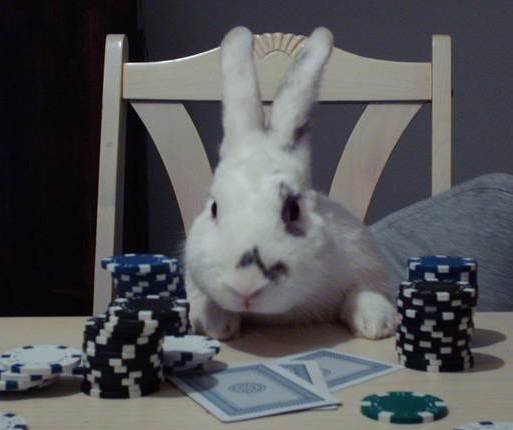 Rabbit Poker 2 Rabbit Poker 2