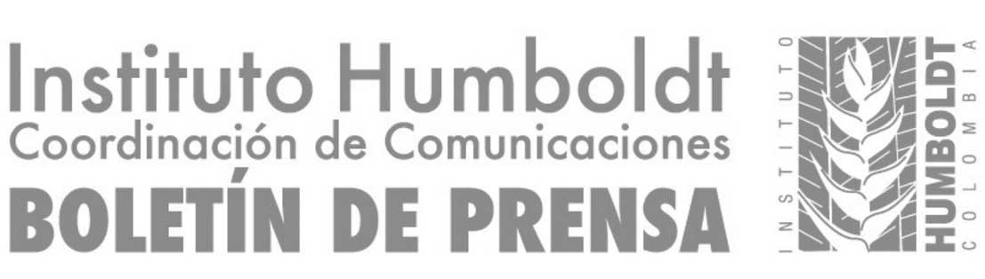 encabezado encabezado