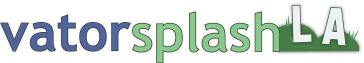 VSLA