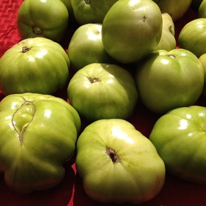 greentomatoes