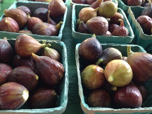 Figs Figs