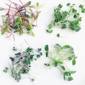 microgreens