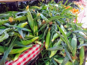 corn waterfall