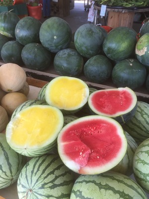 watermelon watermelon