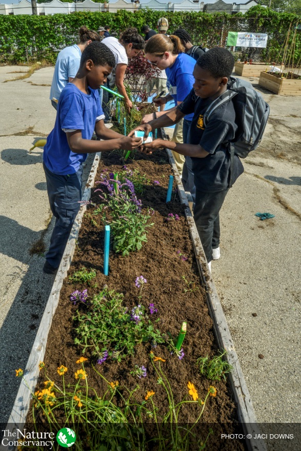 Students at Garden Bed