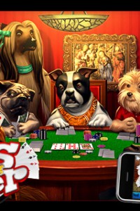 Afa Dogs-Playing-Poker-