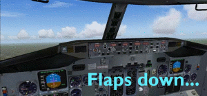 AFA Flaps Down