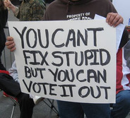 You can't fix stupid but vote it out