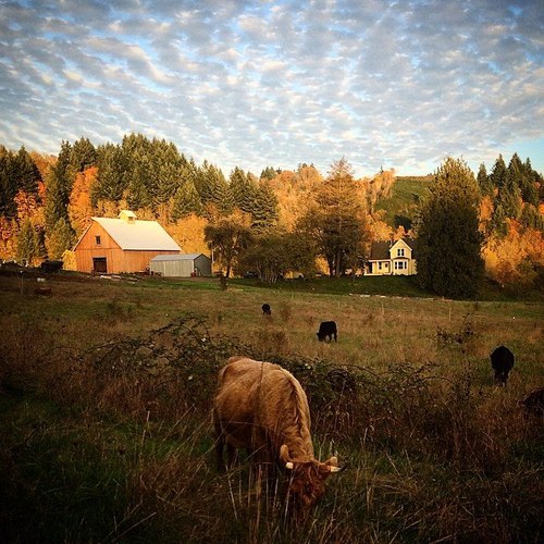 Big Table Farm