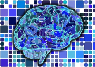 brain-951845_1920 by Geralt PIXABAY Free Lic CC0