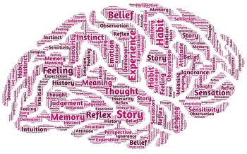 FREE PIXABAY brain_544405_1280 2