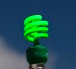 Little Green Lightbulb Little Green Lightbulb