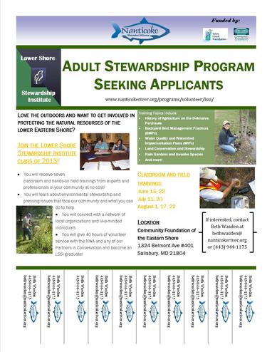 LSSI Flyer 2013 LSSI Flyer 2013