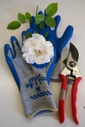 Gloves and flower 2012 120x180