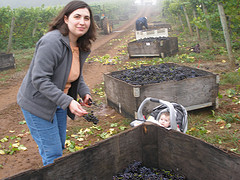 Delphine_checking_harvest Delphine_checking_harvest