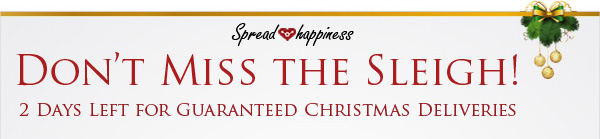 Don't Miss The Sleigh!
