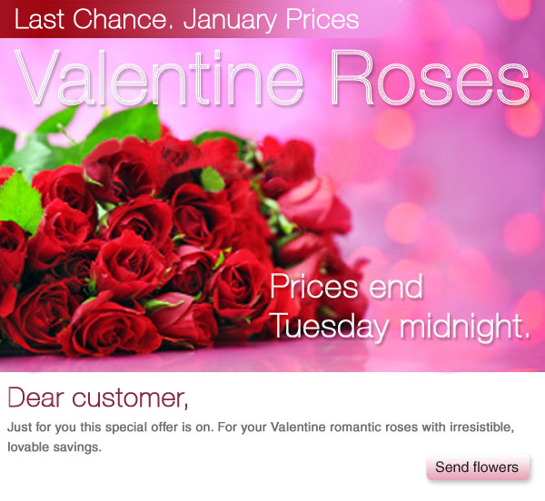 Valentine Roses at Low Prices, Just for You!
