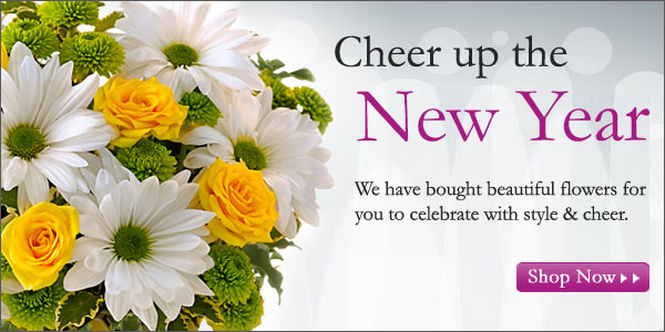 Cheer up the New Year!