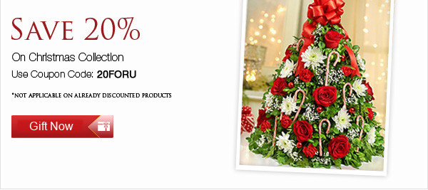 Happy Holi-Deals. So Many Wonderful Ways To Save!