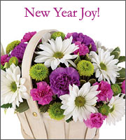 New Year Joy!