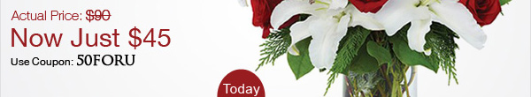Save 50% On Exclusive Golden Christmas Arrangement. Send For Boy Friend Flowers